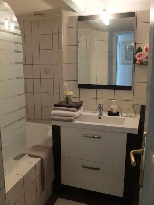 Charming Flat In Historical Centre Apartman Dijon Kültér fotó