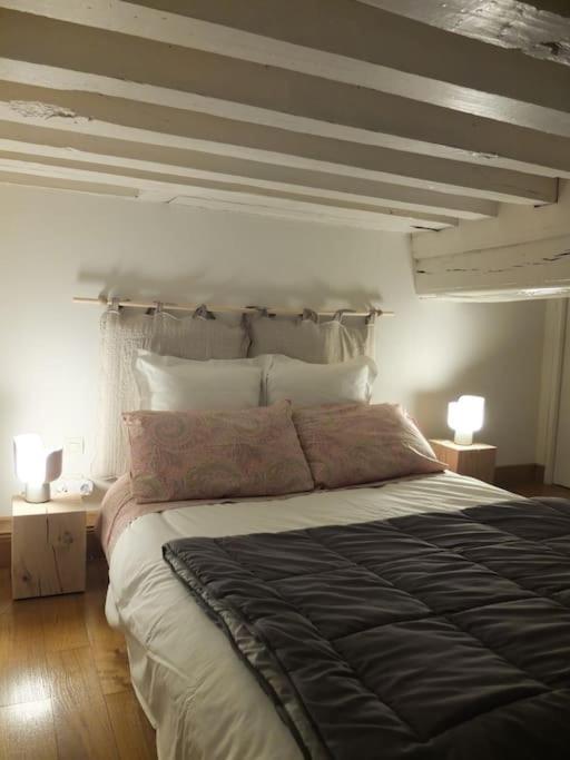 Charming Flat In Historical Centre Apartman Dijon Kültér fotó